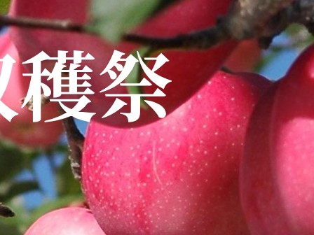 りんご収穫祭