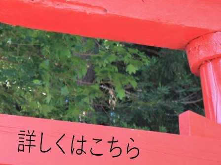 古津軽ウィーク