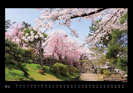 弘前公園さくらカレンダー6月