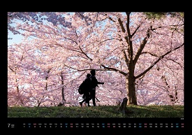 弘前公園さくらカレンダー7月
