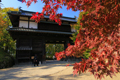 히로사키성의 국화와 단풍 축제